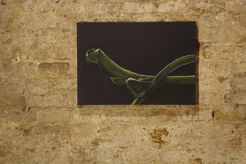 Luci della Natura II - immagine 5